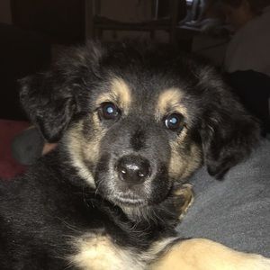 Meet your Posher, Tyler